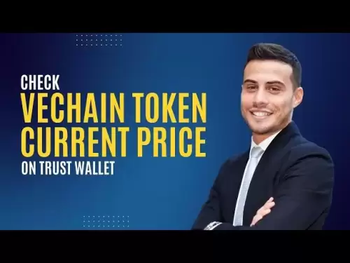 So überprüfen Sie den Vechain (Vet) -Token -Preis sofort
