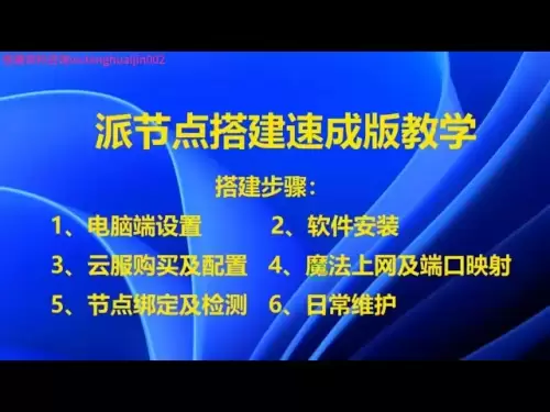 pi節點搭建速成版教學，適合所有人