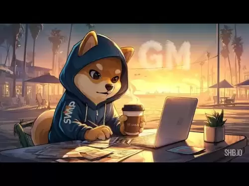 2025/5/27 Latest progress and market analysis of Shiba Inu Coin