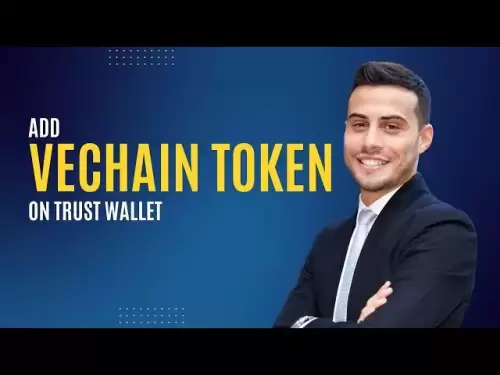 添加Vechain（兽医）令牌以轻松信任钱包