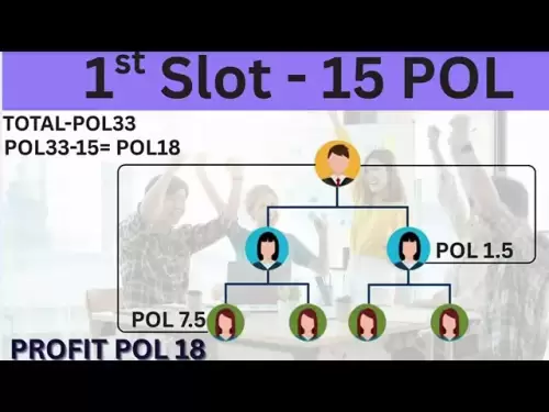 POL Universe午餐6月1日书现在top🆔
