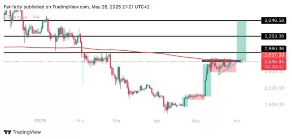 Unknown Trader