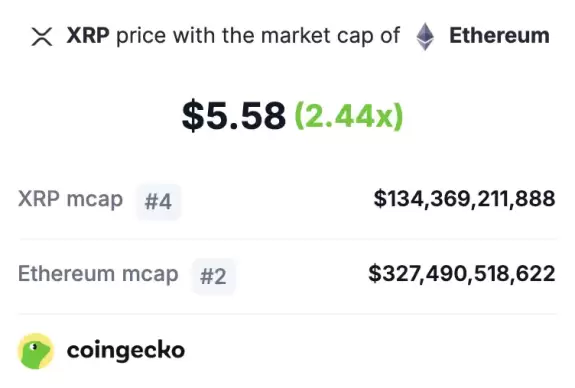 CoinGecko
