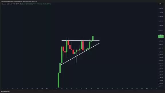 Crypto Rover
