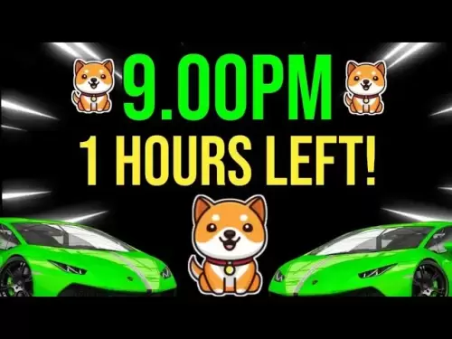 ベビードッグコイン|おめでとう= $ 0.0001次へ| 0000ゼロキル|今日のBabyDoge Breaking News