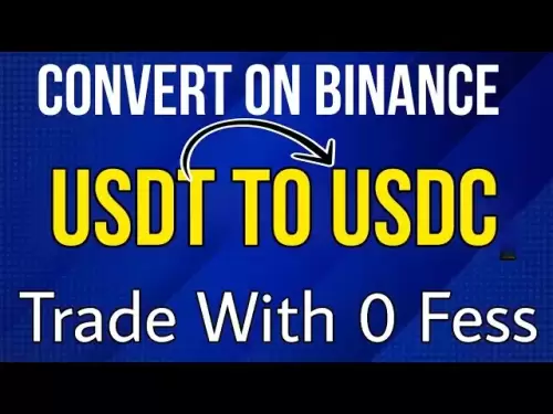 Binance에서 USDT를 USDC로 USDC로 변환하는 방법 Binance에서 0 FESS로 미래 거래