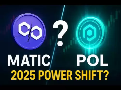 可以替換Matic嗎？為什麼被低估的加密貨幣可以在2025年領導市場