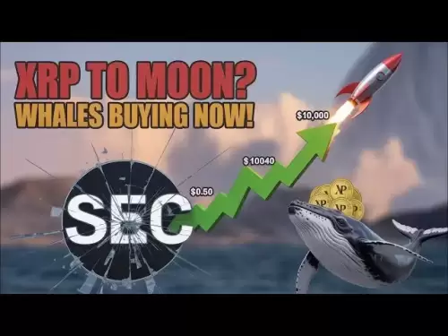 XRP à 10 000 $? Le procès de la SEC se termine - les whales achètent des milliards (cela change tout)