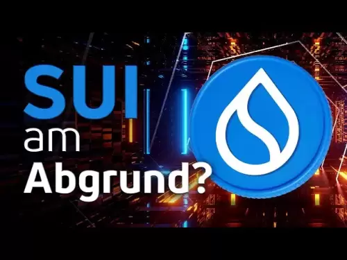 Achtung: DeFi-Hack auf SUI! Kauf-Chance oder Finger weg?