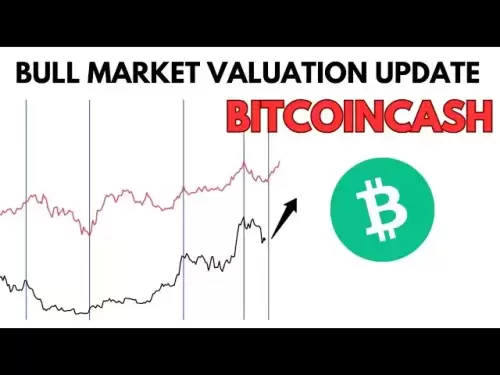 BitCoincash：不要上当|| BCH新闻，分析和价格预测