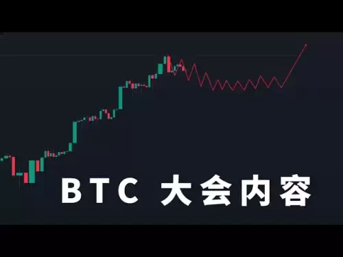 Le contenu de la conférence de la BTC le 29 mai, la politique soutient les tendances du marché de l'innovation technologique montre que les États-Unis ont besoin de Bitcoin et ont décidé de les sauver à long terme. C'est bon pour nous de détenir n