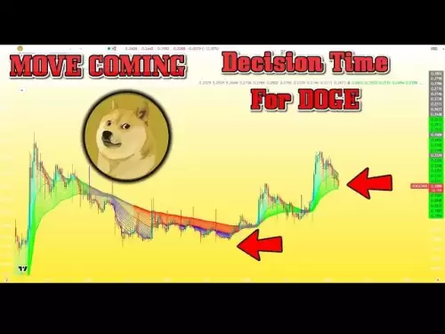 Dogecoin $ 1 Alt Season Pump在2025年加載！持有比特幣100K可以盡快確認Doge Pump！ ？