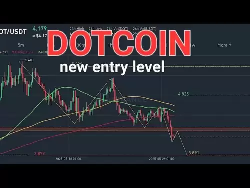 Dotcoin新入門級| Dotcoin價格分析| Dotcoin Dot | #DotCoin #CryptoCurrency #trading #crypto
