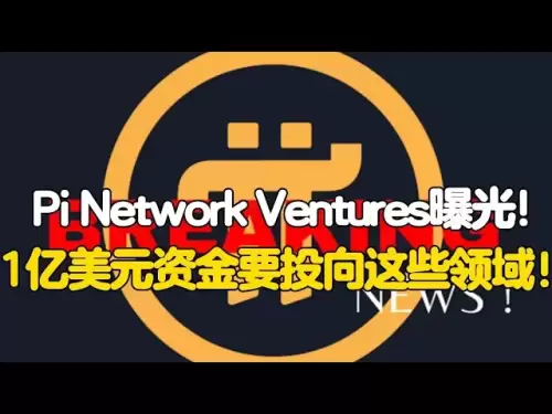 Pi Network Ventures曝光！ 1億美元資金要投向這些領域！
