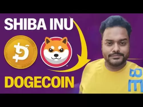 Shiba Inu Coin News Today | Shiba inu coin | Shiba InuとDoge Coin