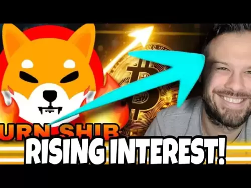 Shiba Inu Coin | Shib Bulls qui achète comme un intérêt ouvert augmente!