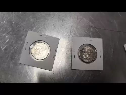 Susan B Anthony Coin. Et Trump.