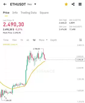 Bitbull