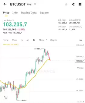 Bitbull