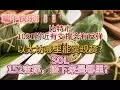 5月31日比特币关注1031反弹关注1059的压力丨以太坊2475斐波拉契1.13开始反弹，注意2597压力丨SOL152支撑继续下跌关注141！！！