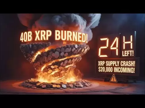 美聯儲的XRP託管燃燒洩漏：400億XRP消失了！ （$ 20,000的價格預測！）