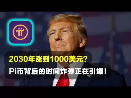 PI Network: Wird es im Jahr 2030 auf 1.000 US -Dollar steigen? Die Zeitbombe hinter PI -Münzen detoniert!