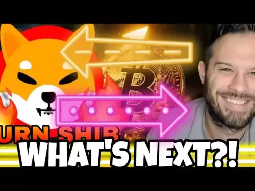 Shiba Inu Coin | Analysten bereiten sich auf diesen nächsten Schritt für Shib vor