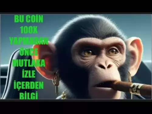 Pi Coin BTC和Altcoins的最新情况