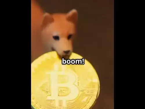 Doge Coin Meme的故事 - 投资加密货币