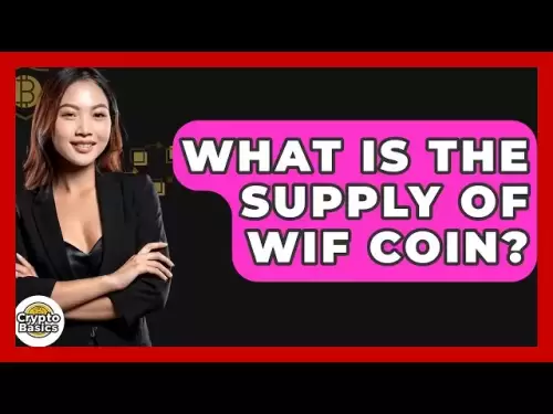 Quelle est la fourniture de la pièce de monnaie? - cryptobasics360.com