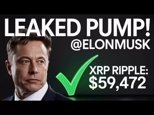 XRP Ripple Elon Musk意外泄漏XRP价格！ （$ 59,472公允价值） - 今天的Ripple XRP新闻