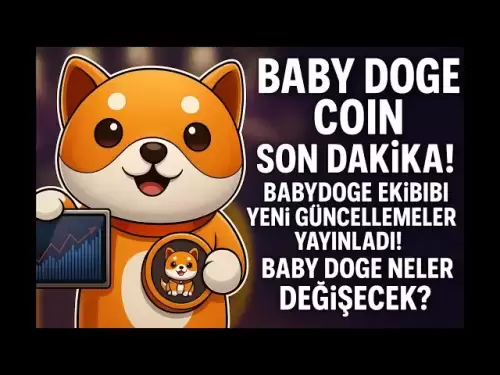 ベイビーDGEコインラストミニッツ！ BabyDogeチームは新しいアップデートをリリースしました！赤ちゃんのdogeは何を変えますか？
