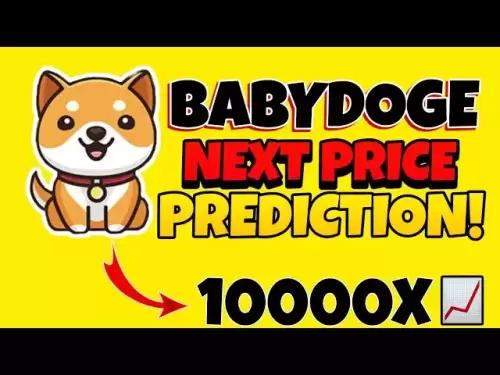 BabyDoge Coin Next Big Target🎯？ BabyDoge Coin New Update |赤ちゃんドージコイン