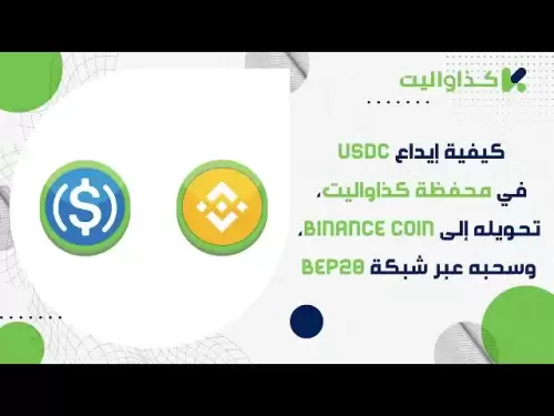 Comment déposer USDC dans le portefeuille de bougies, le convertir en Binance Coin et le retirer via BEP20