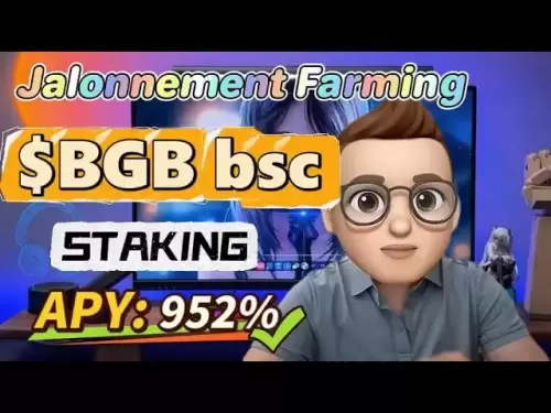 Plan marché haussier : Stake BGB bsc Coin dans un projet crypto – Tutoriel farming