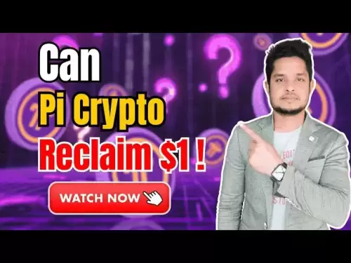 Path to Recovery: peut Pi Crypto récupérer 1 $!