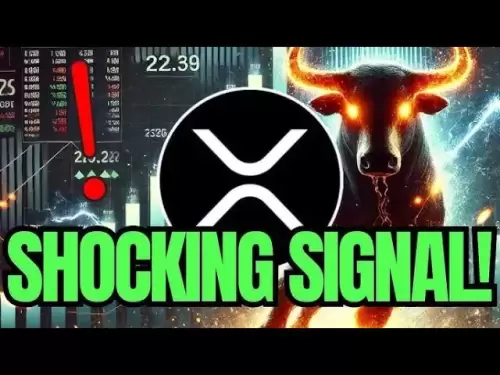 リップルXRPの重要な瞬間、警告警告警告im怖いriddlersが確認された!!!