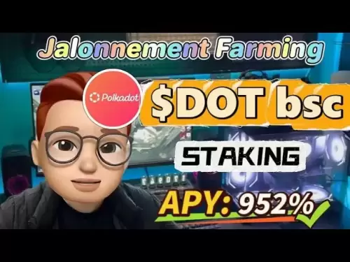 Stake DOT bsc et faites du farming – Meilleure opportunité du marché haussier