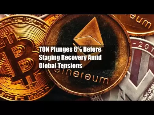 トンは、世界的な緊張の中で回復を行う前に6％急落します