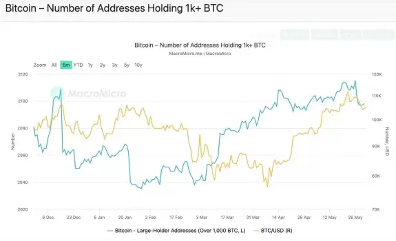 CryptosRUs