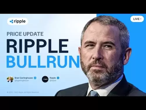 布拉德·加林豪斯（Brad Garlinghouse）：Ripple Bull Run確認！ XRP價格預測