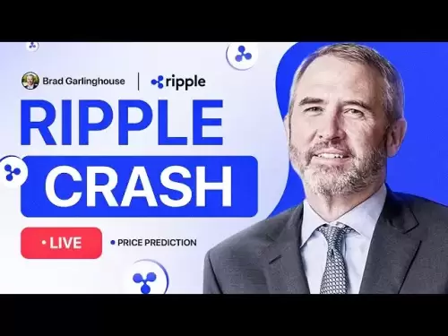 Brad Garlinghouse：Ripple Crash-次に何が起こりますか？！ XRP価格予測