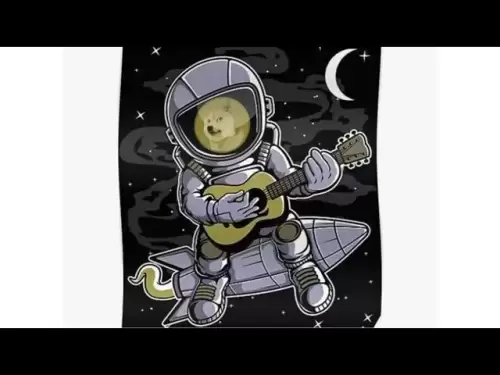 doge coin (acoustic)