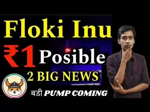 floki inu | floki inu下一个100x memcoin |价格预测