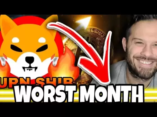 Shiba Inu Coin | Prepare For The Worst Month In History For SHIB?!