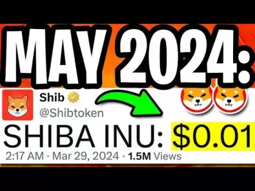 Shytoshi返回！ INU Shiba至$ 0.01！今天的Shiba INU硬幣新聞