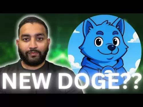 这可以是新的$ DOGE硬币吗？ Doge Base News！看涨memecoin新闻！