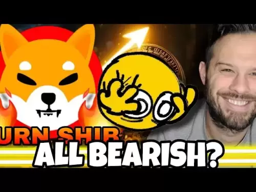 Shiba inu coin |弱気な指標は、シブ・ブルズの興味深い絵を描いています