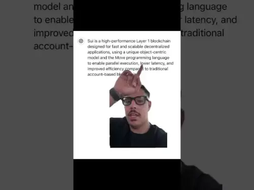 SUI区块链评论：前Meta工程师的美国制造硬币！ 🇺🇸💻