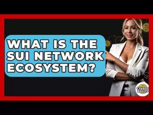 SUI网络生态系统是什么？ -CryptoBasics360.com